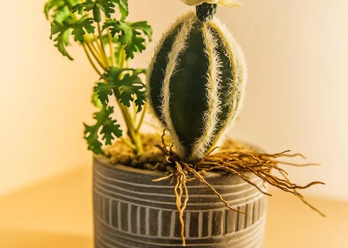 New Bubanj Apartment's 아파트 *